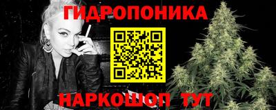 прущие грибы Конаково